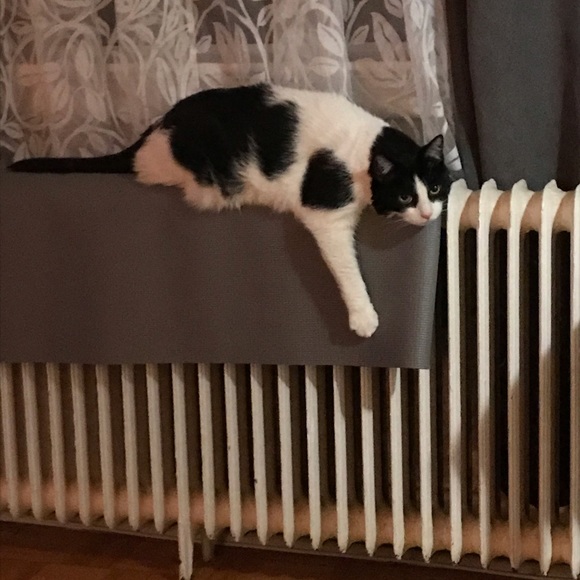 Meet your Posher, Janice - Picture 1 of 1